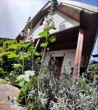 Lodge Pod Szklana Wydma *