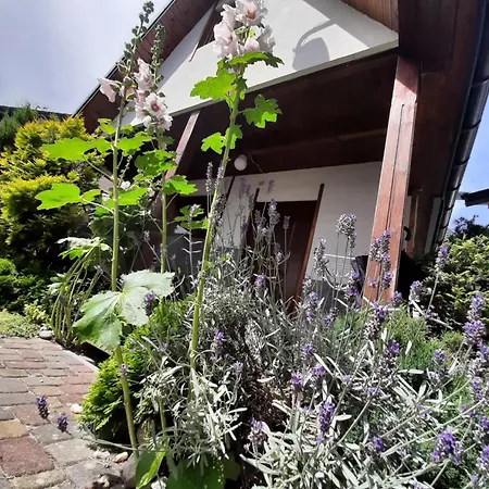 Pod Szklana Wydma - 2 Min Pieszo Do Plazy