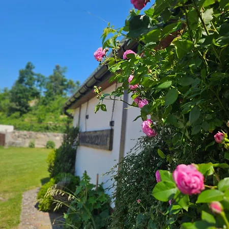 Pod Szklana Wydma - 2 Min Pieszo Do Plazy Lodge *