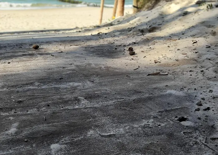 Lodge Pod Szklana Wydma - 2 Min Pieszo Do Plazy