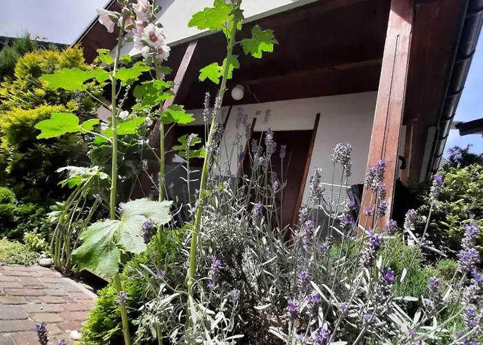 Pod Szklana Wydma - 2 Min Pieszo Do Plazy